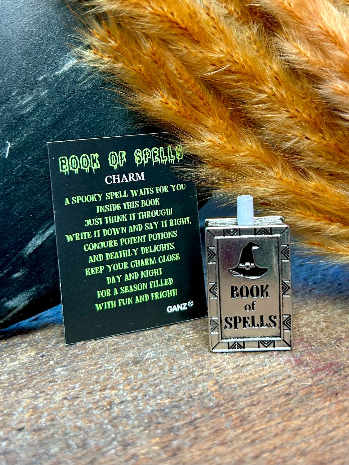 Book Of Spells Charms