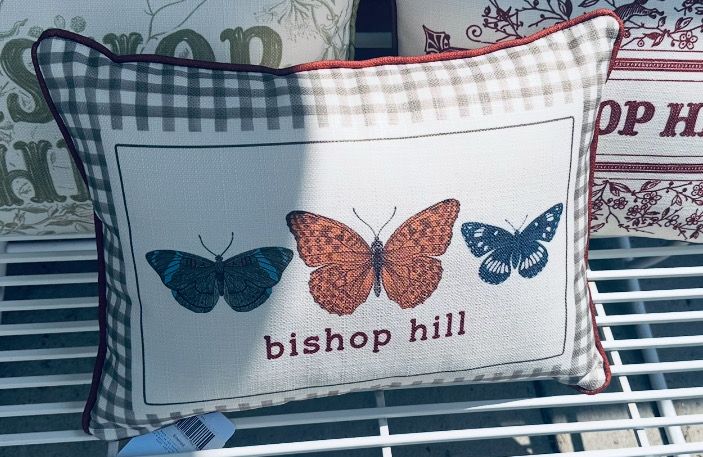 Gingham Butterflies Hometown Pillow + Bishop Hill