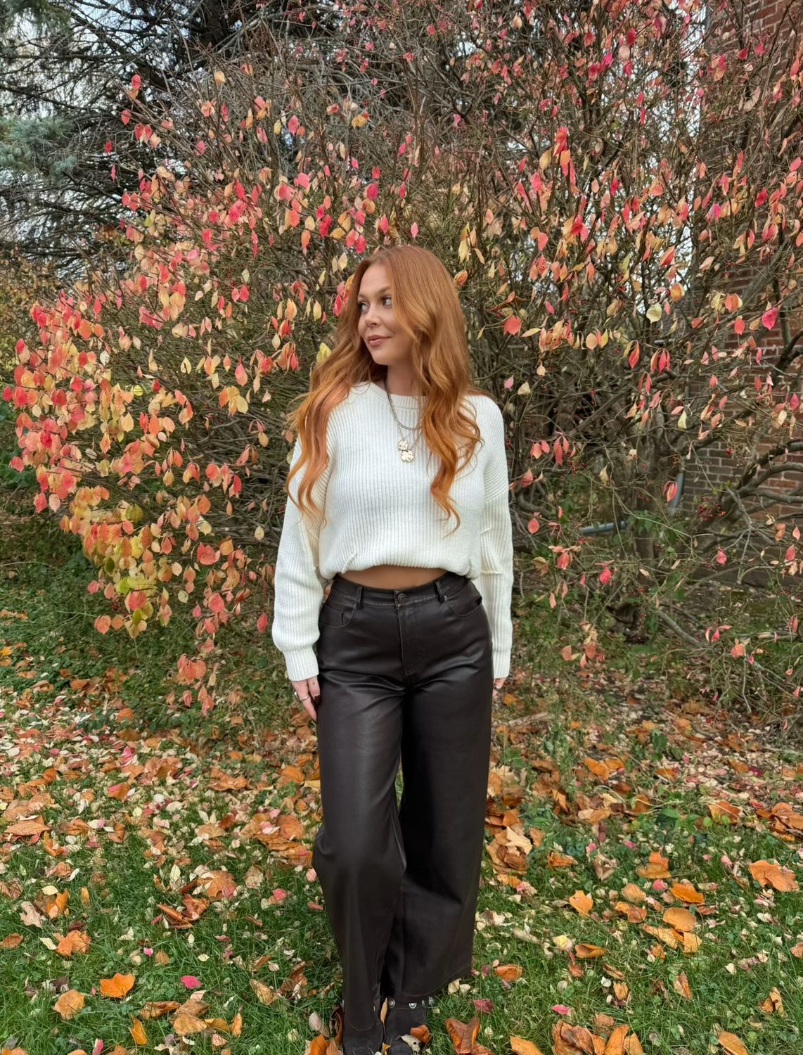 Darted Sweater Darted Sweater