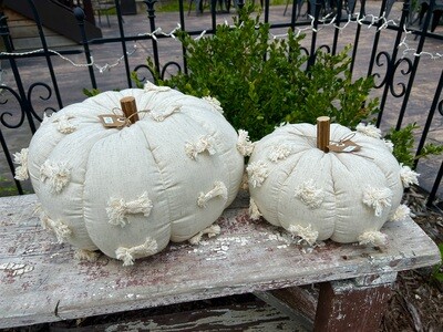 Cream Dotted Pumpkins