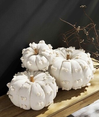 Cream Dotted Pumpkins