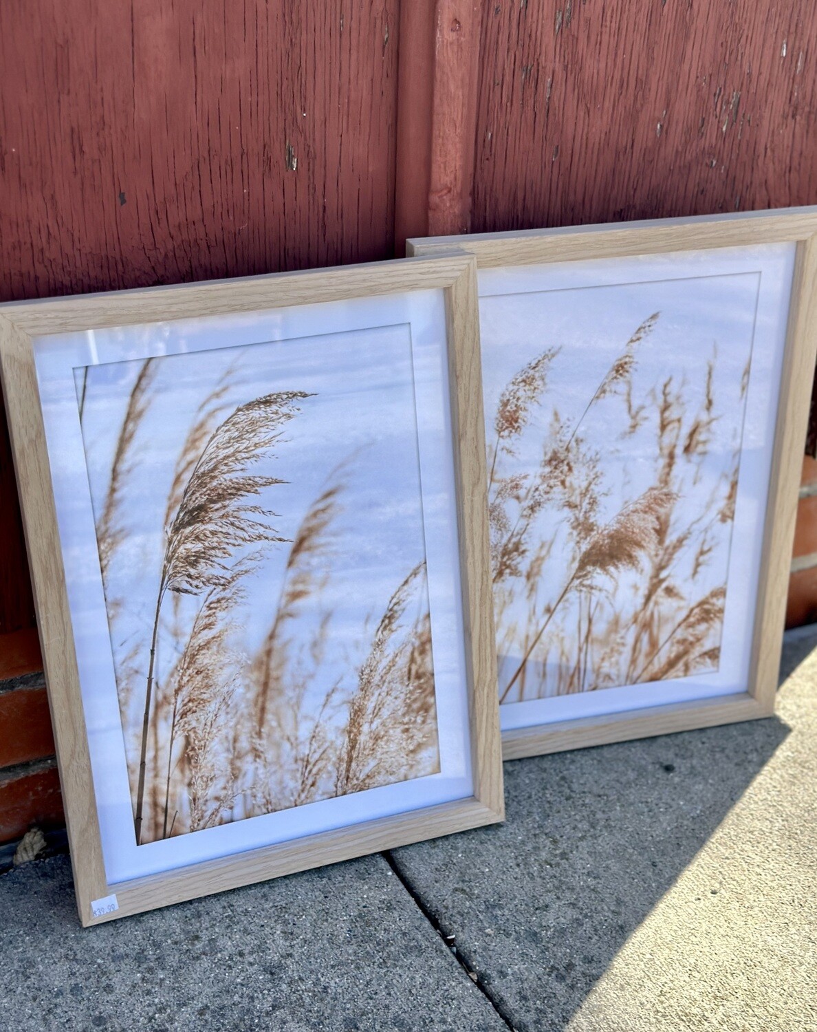 Framed Wheat Picture