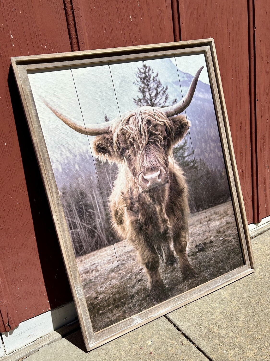Highland Cow Wall Decor