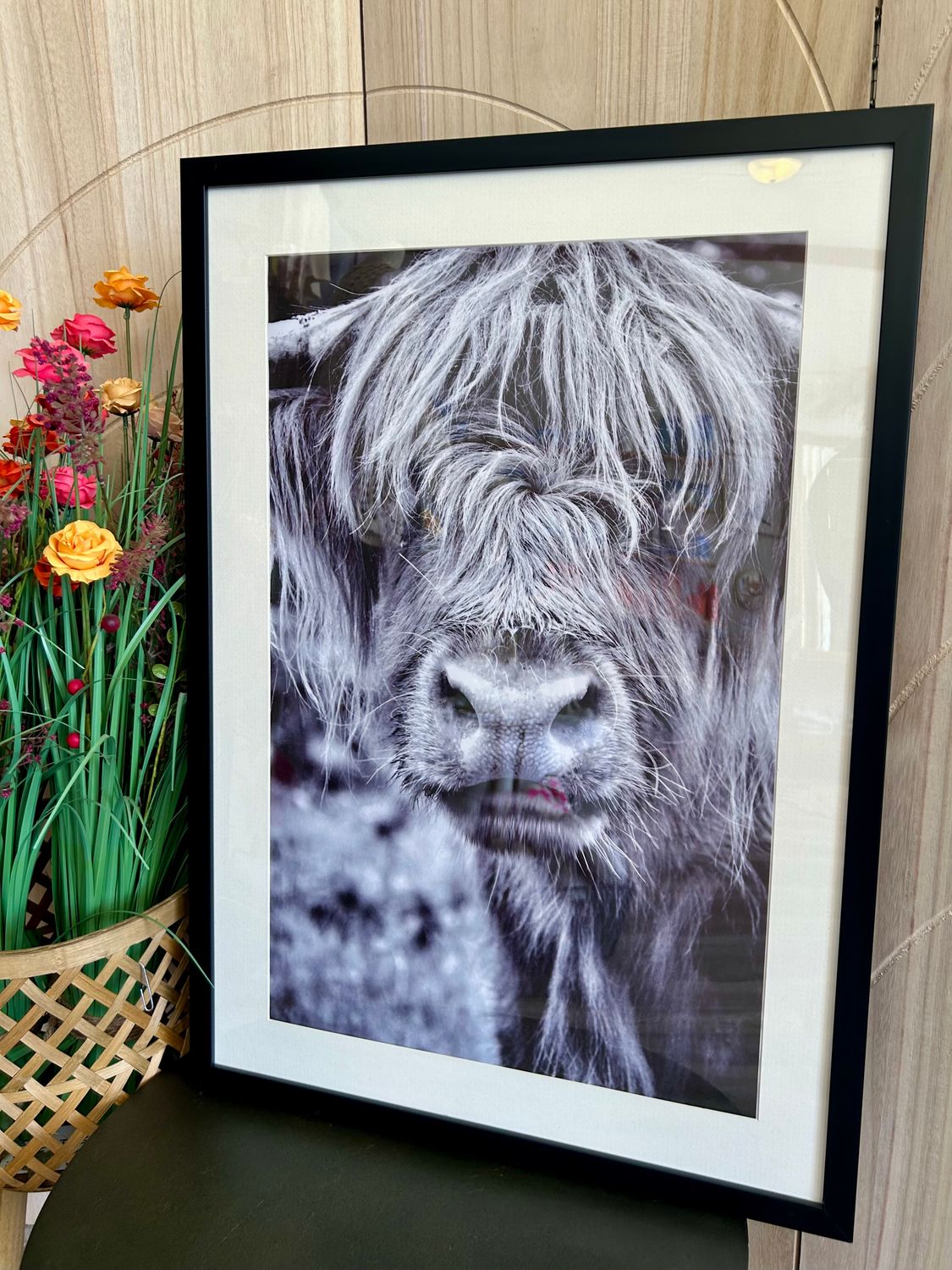 Highland Cow Black &amp; White 