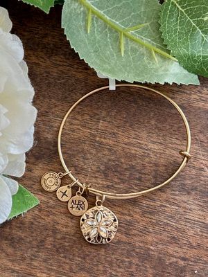 ALEX + ANI