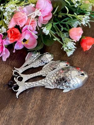 Fish Measuring Spoons