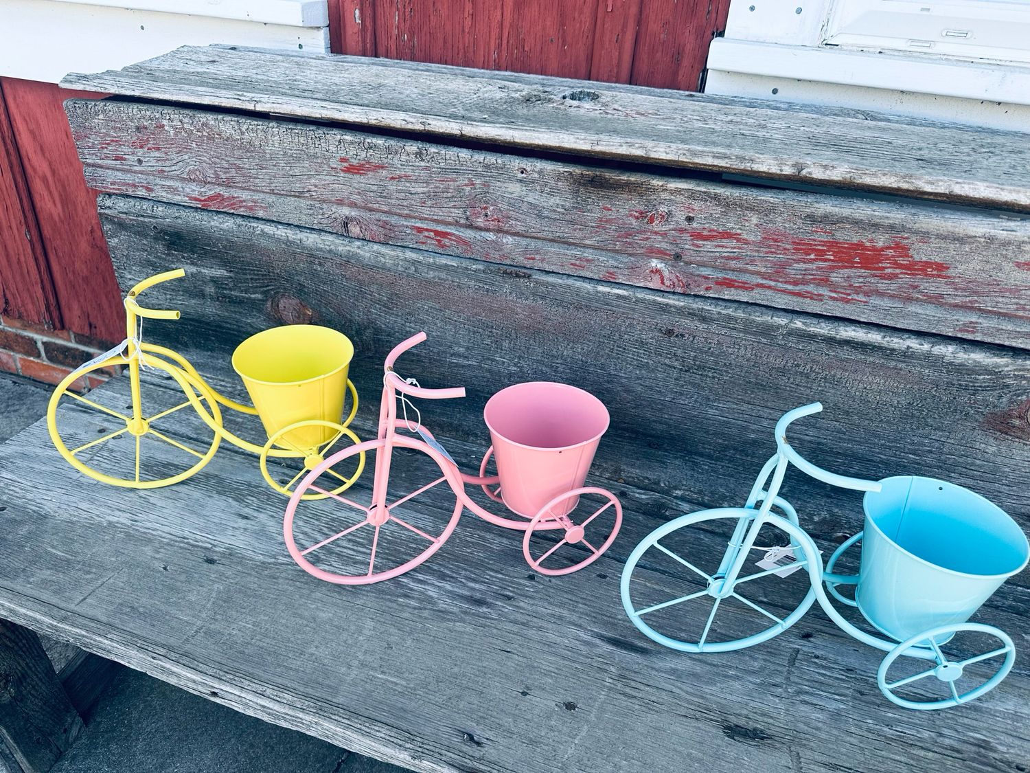 Bicycle Planter