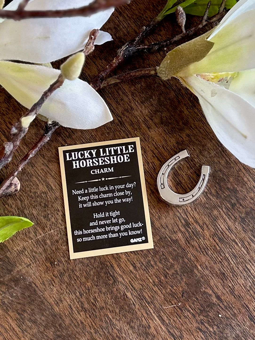 Horseshoe Charm