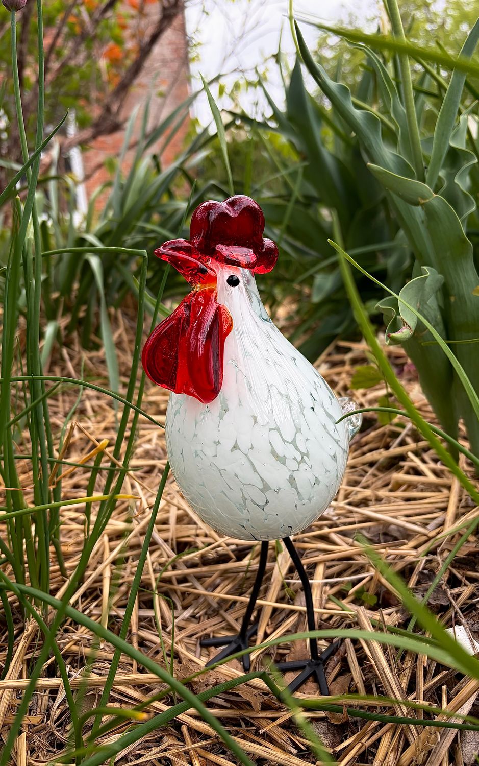 Tall Glass Chicken