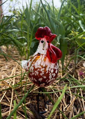 Small Glass Chicken