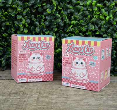 Lucky Cat Blind Box Squishy Lucky Cat Blind Box Squishy