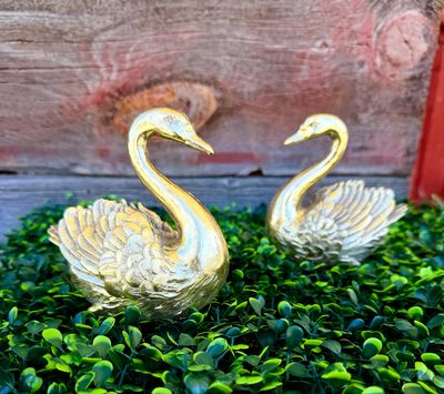 Gold Swan Fig Resin Gold Swan Fig Resin