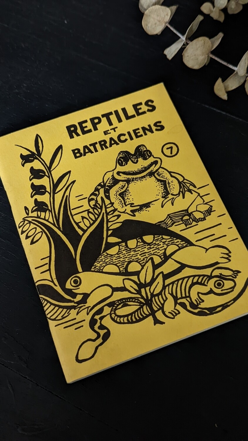 Livre reptiles