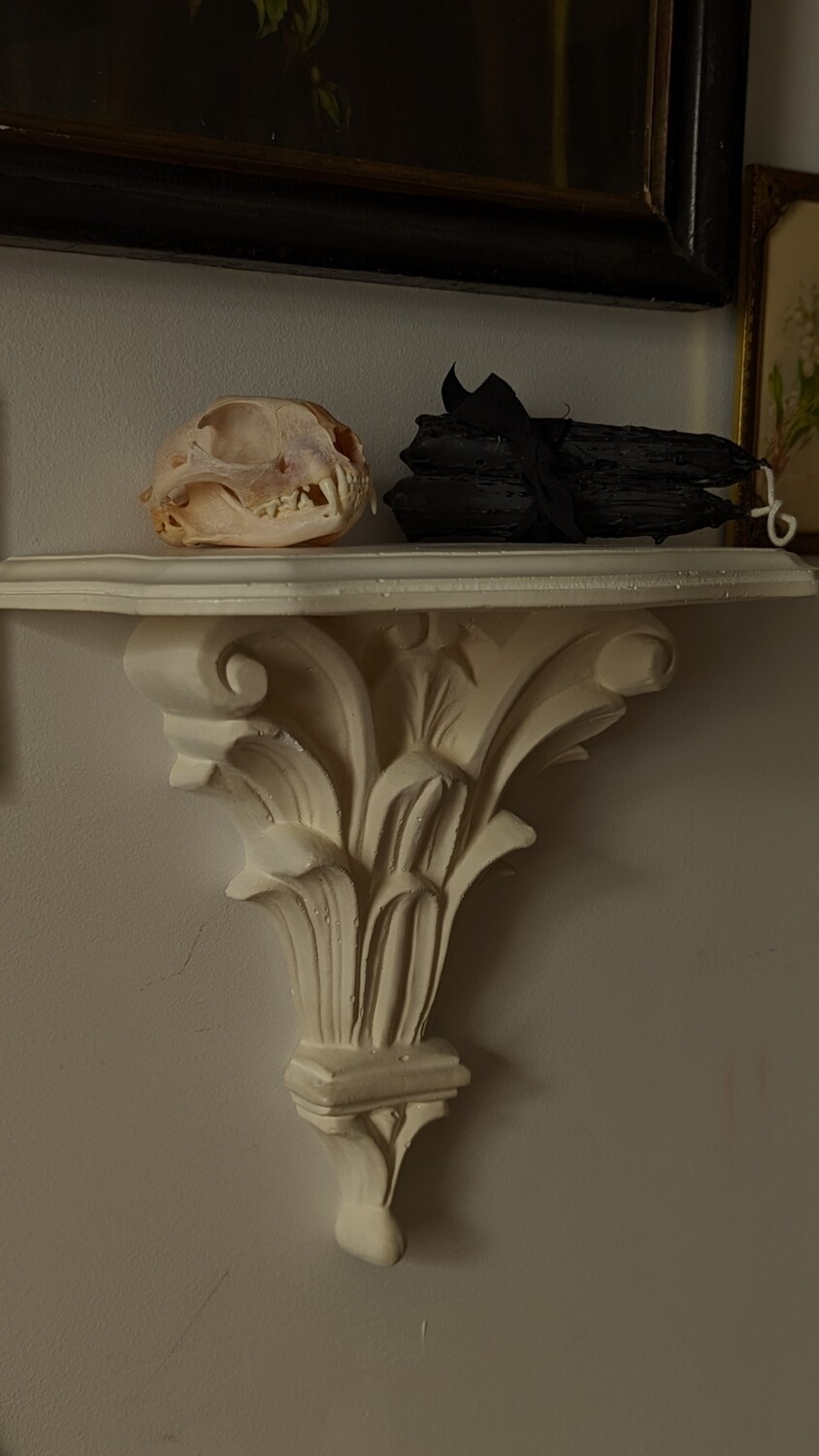 plaster shelf