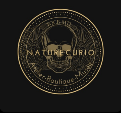 Nature Curio by TOCB