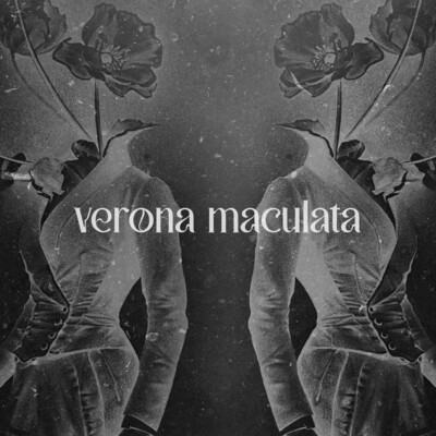 Verona Maculata