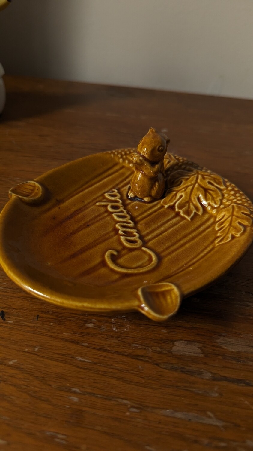Canada squirrel dish