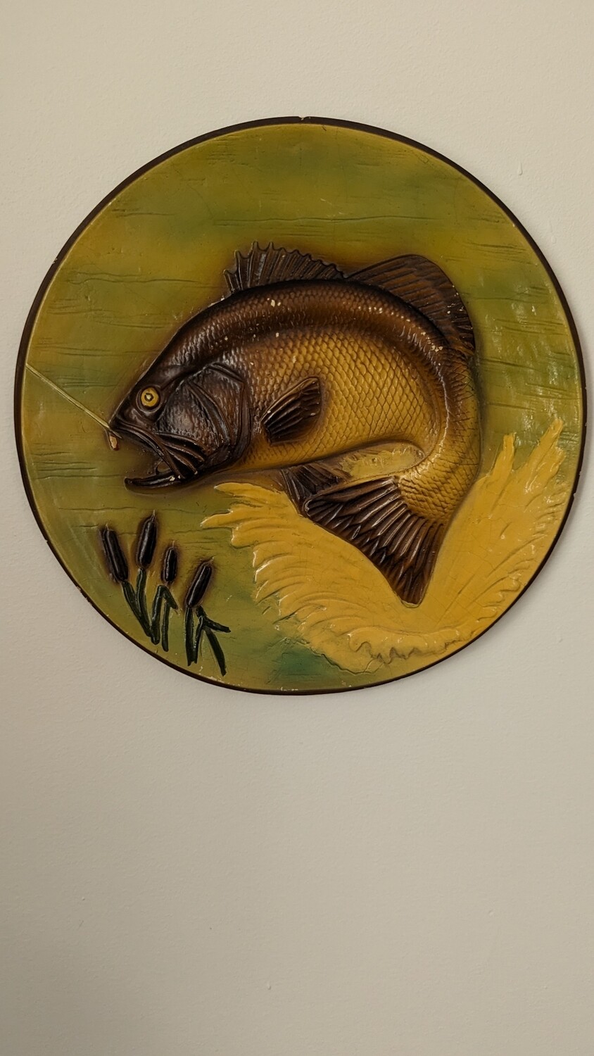 Fish plaster wall plaque