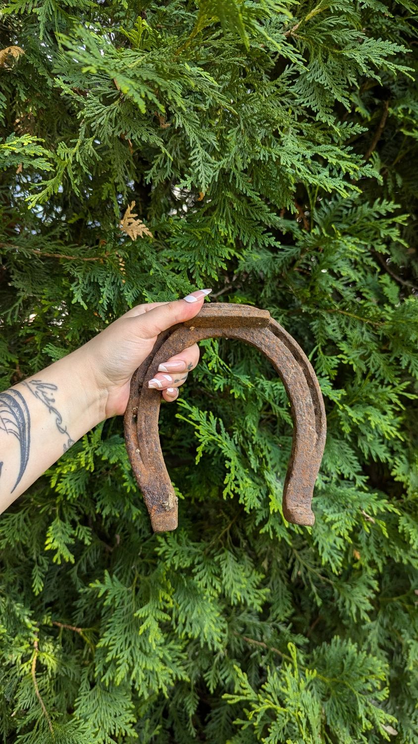 Horseshoe 1