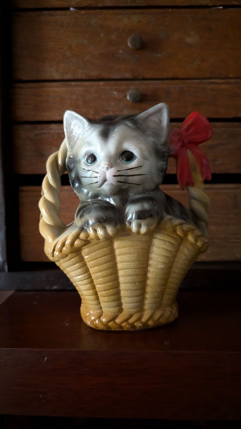 Cat in basket plastic bank