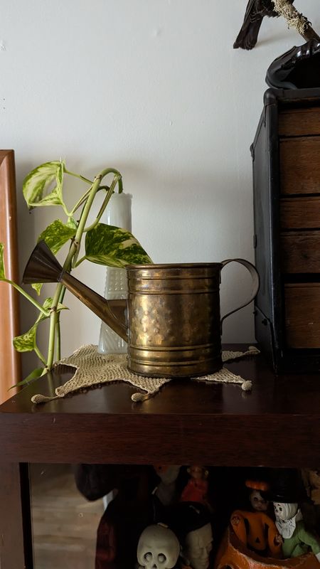 DECORATIVE watercan