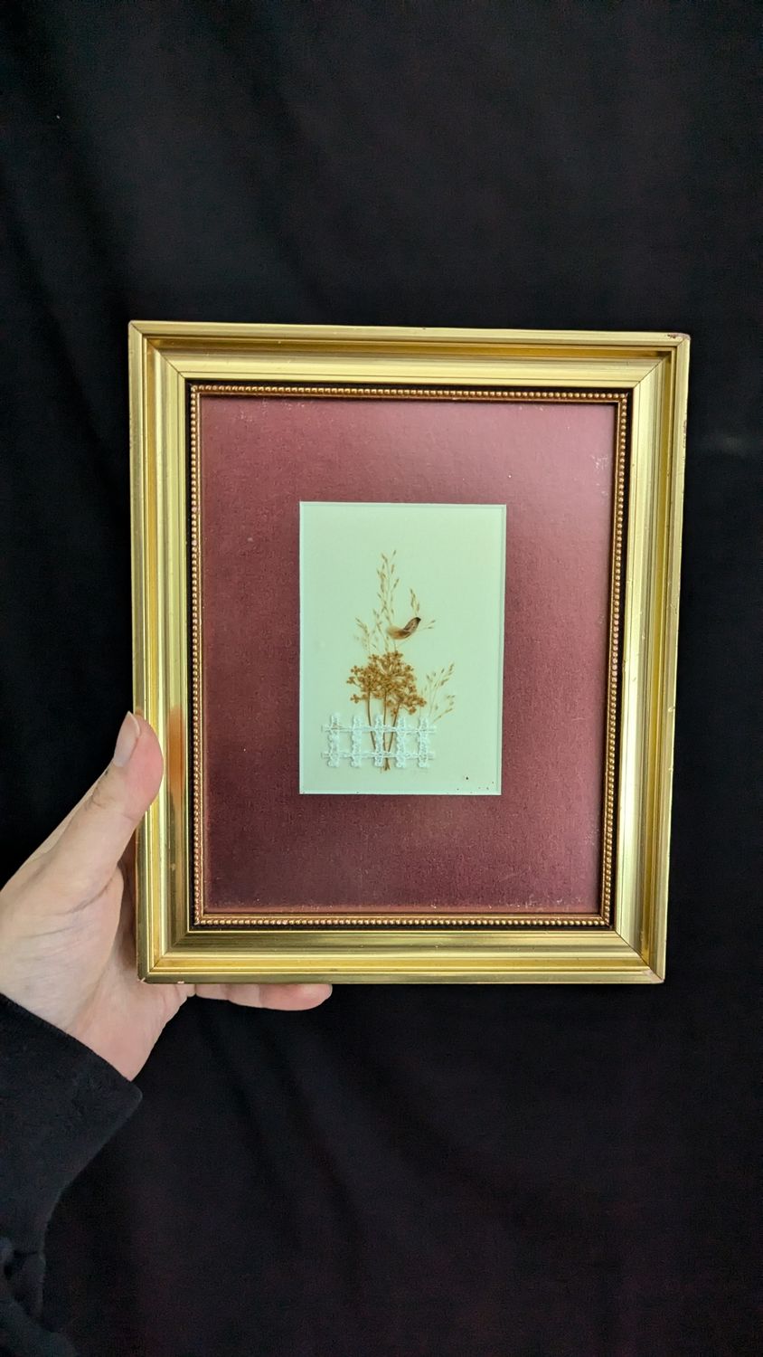Framed Dried flowers art piece