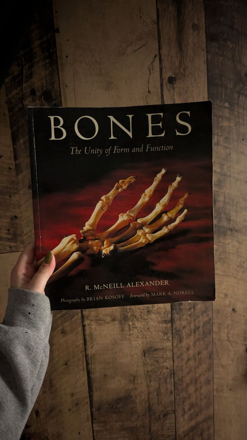 Bones book 1996