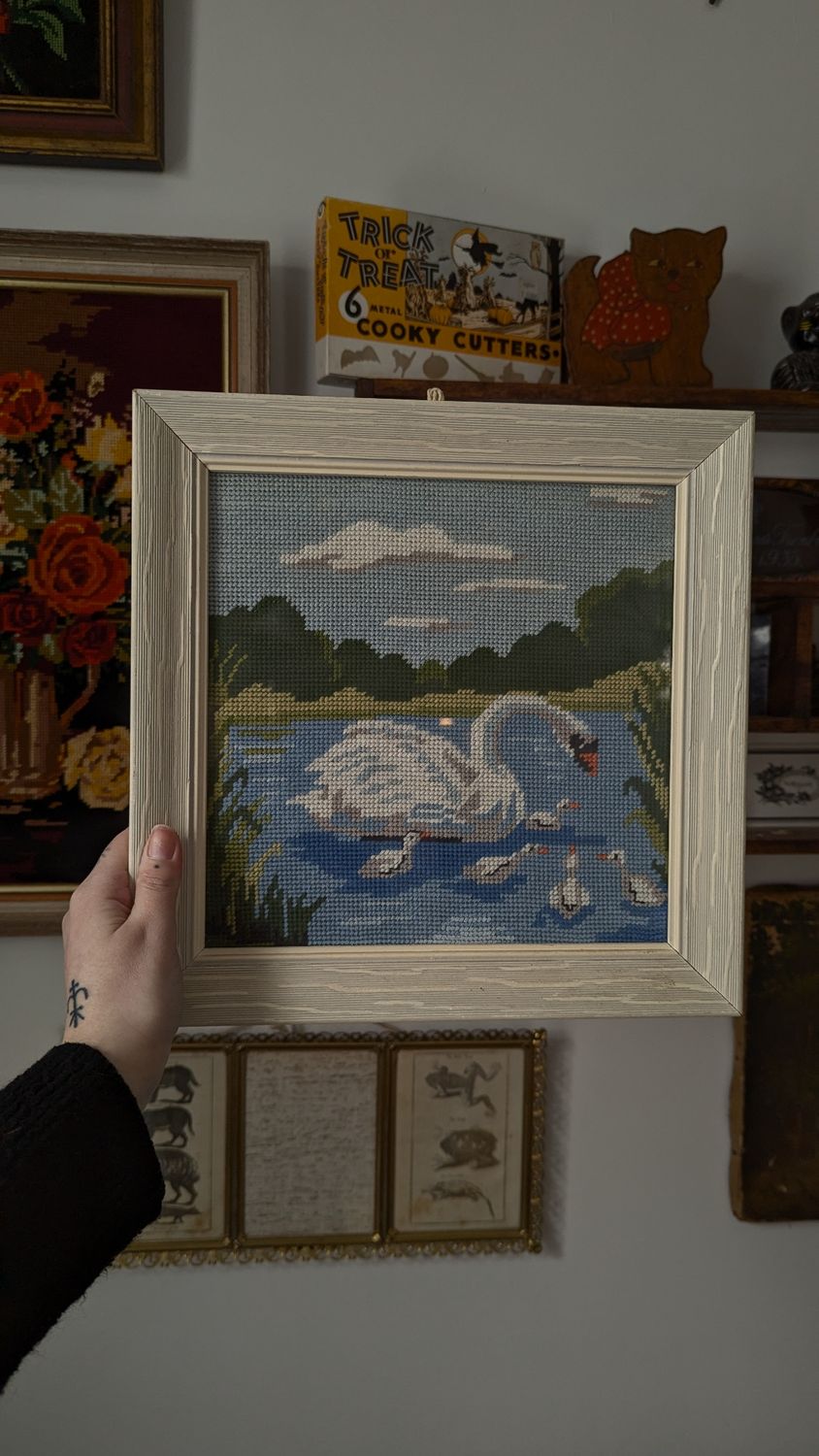 Swans needle point