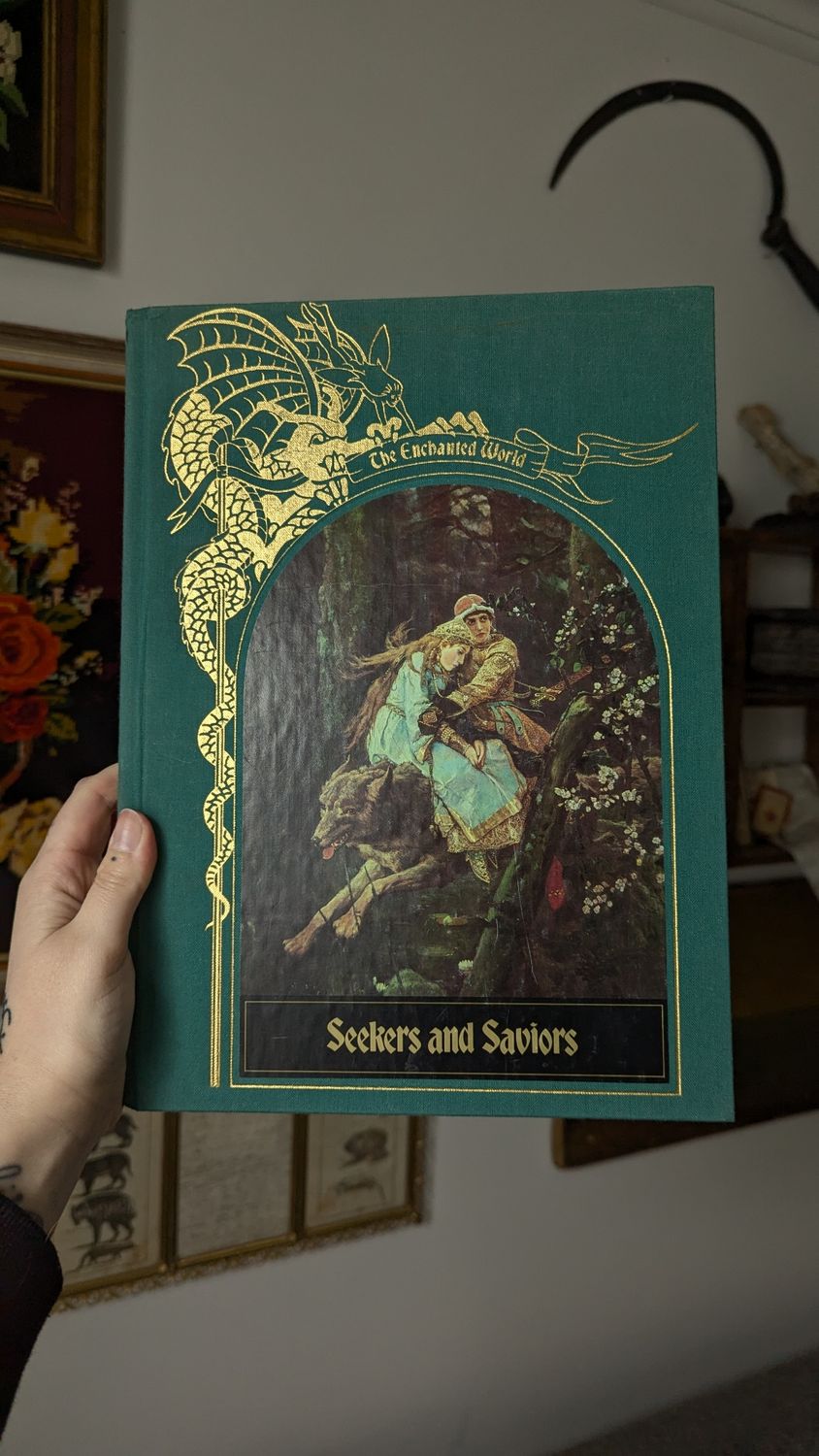 Seekers and saviors book