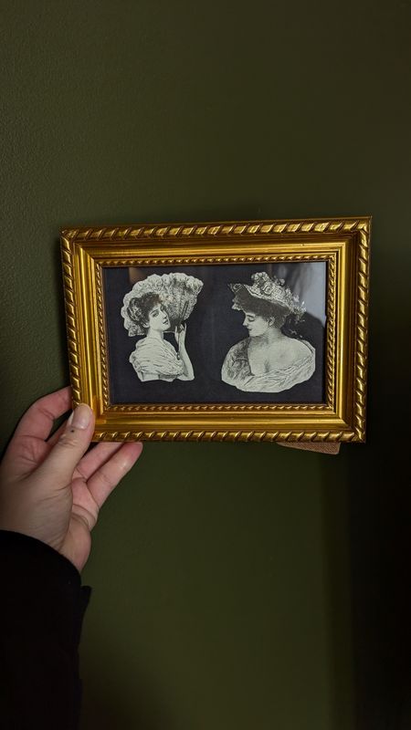 Frame ladies