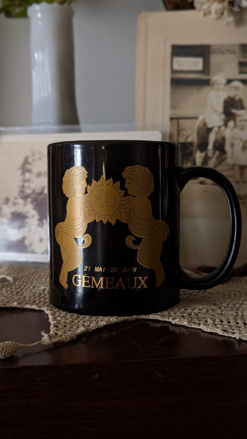 Gemini mug