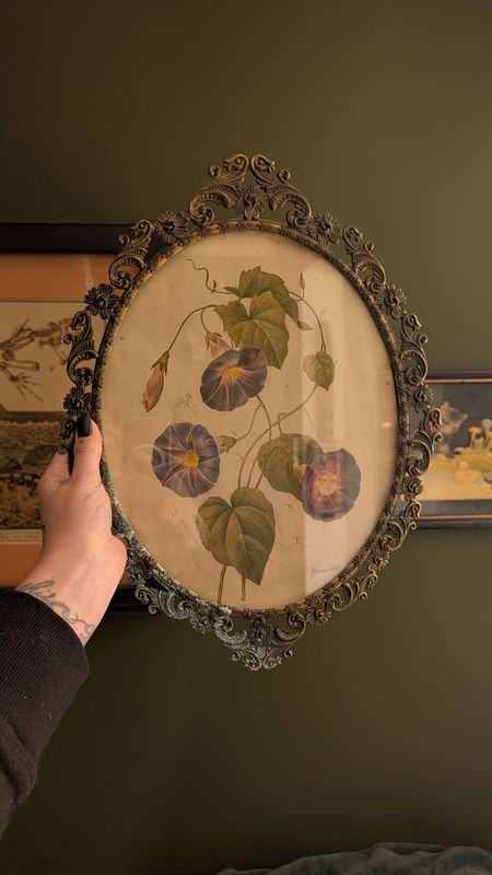 Morning glory ornate frame vintage illustration
