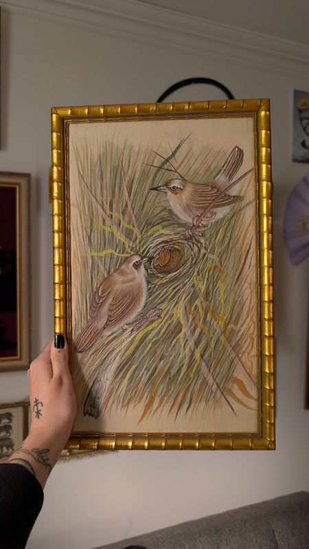 Birds of Town and Village By Basil Ede painting