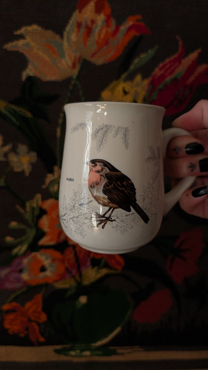 Robin mug