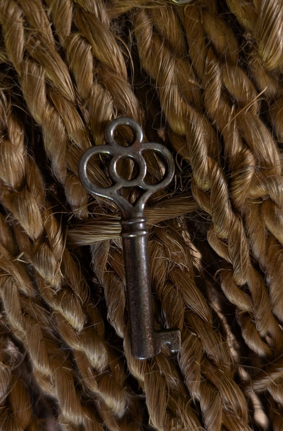Small skeleton key