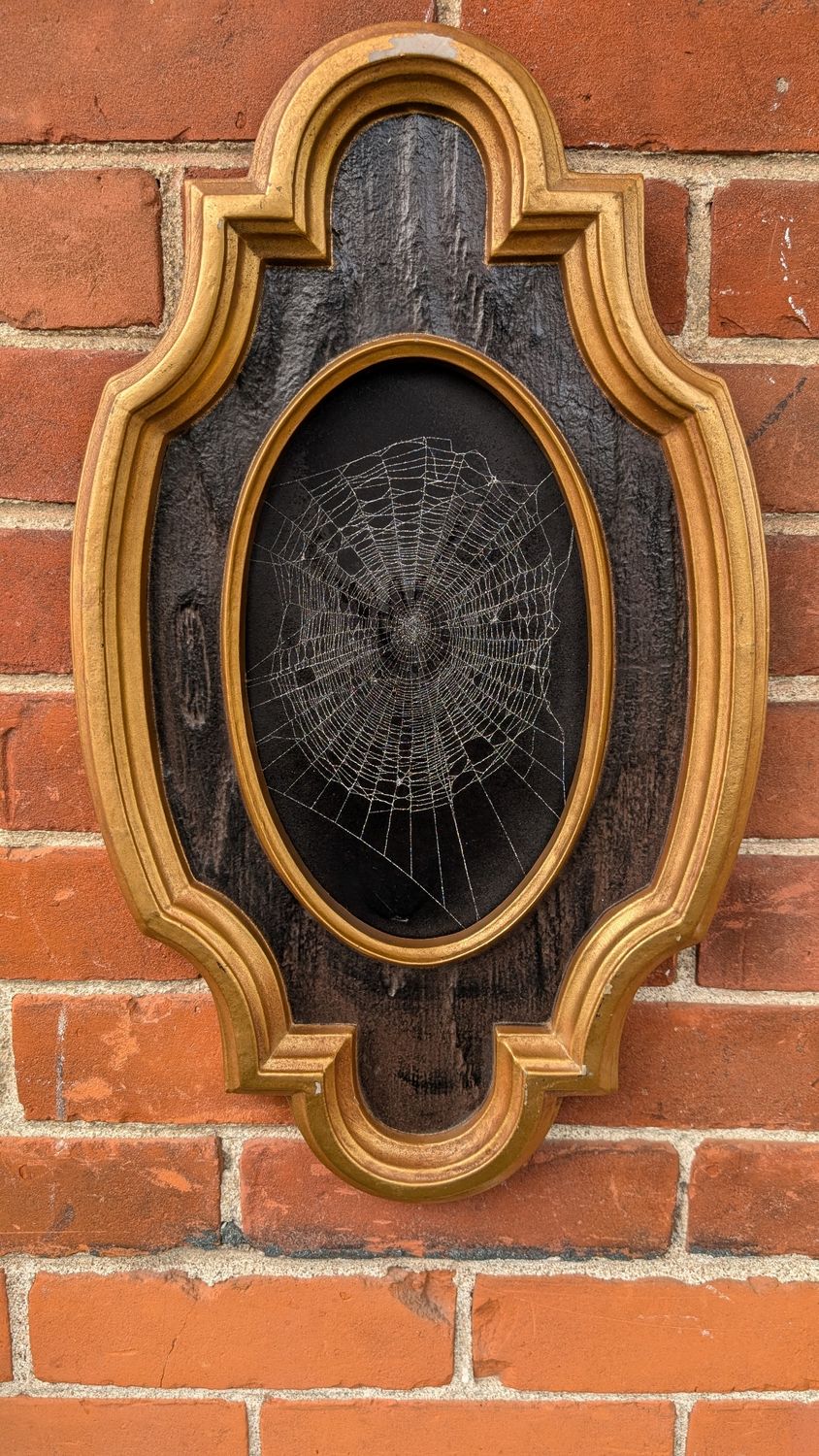 Spiderweb large frame 2