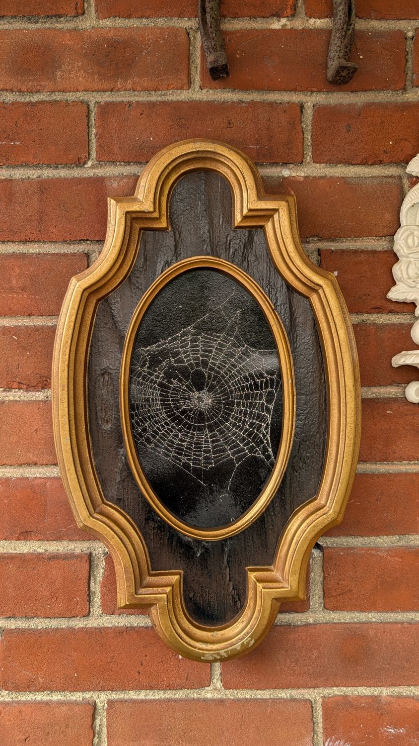 Spiderweb large frame 1