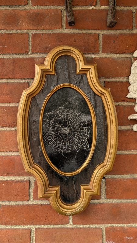 Spiderweb large frame 1