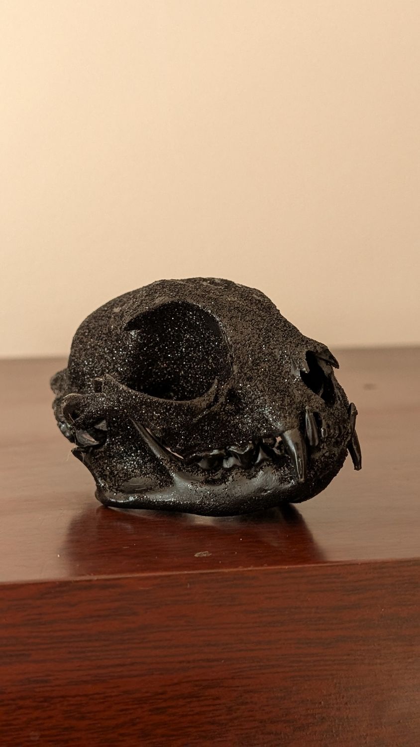 Cat skull with black glitter by emmanuelle jobidon