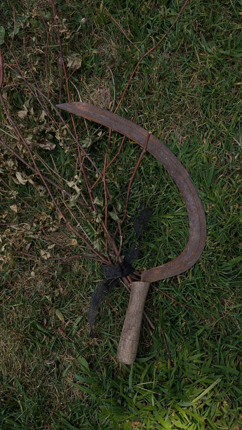 Sickle 2