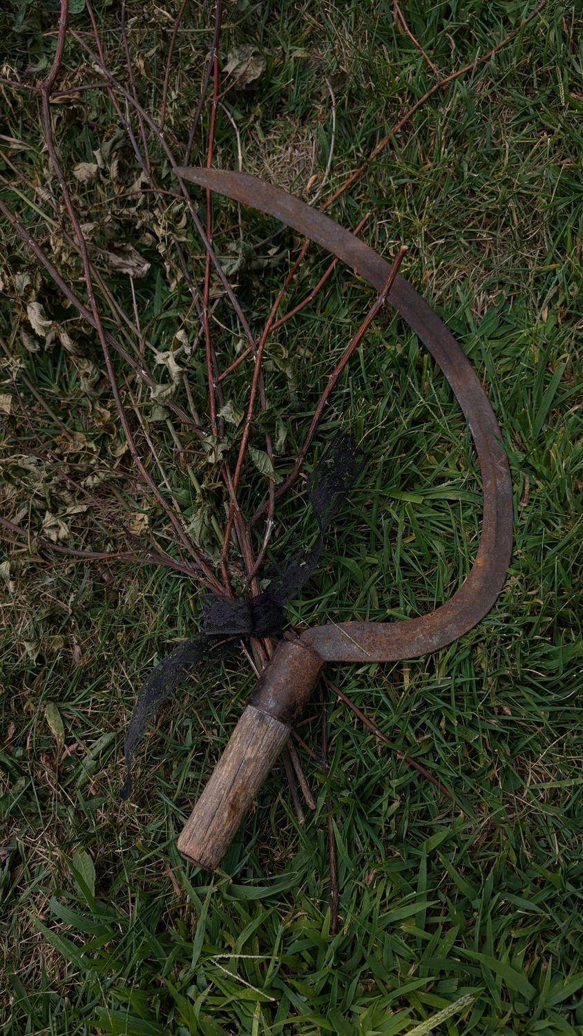 Sickle 3