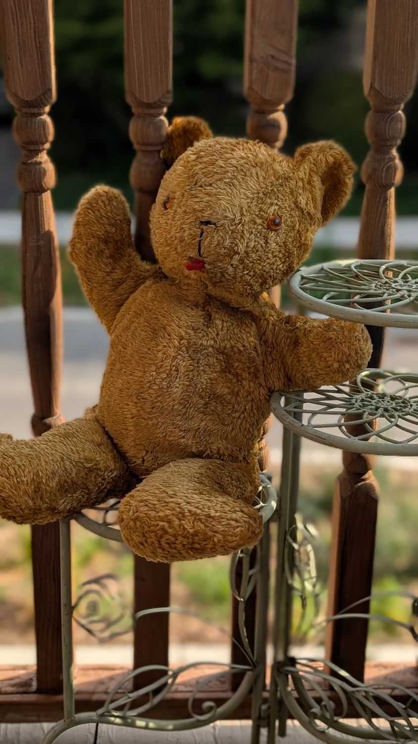 Antique teddy bear plush