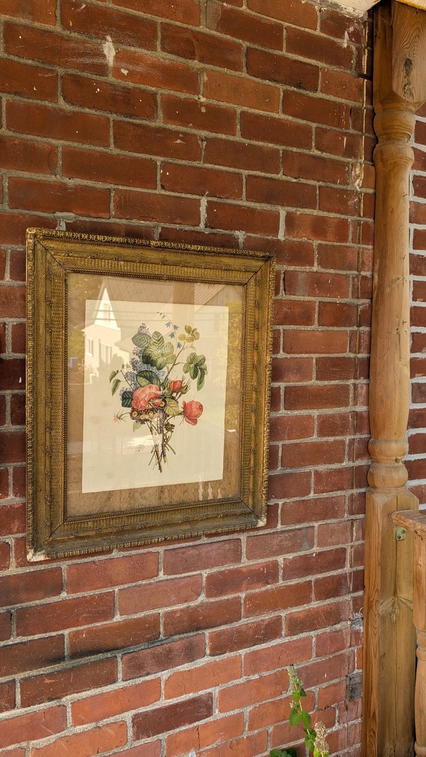 Antique victorian frame with botanical print