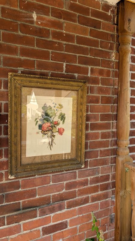 Antique victorian frame with botanical print