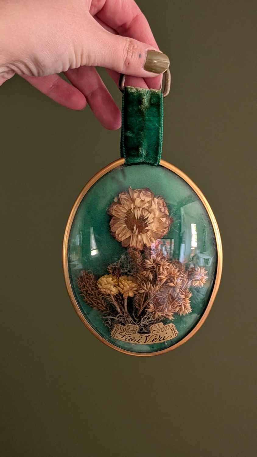 Dried floral domed frame