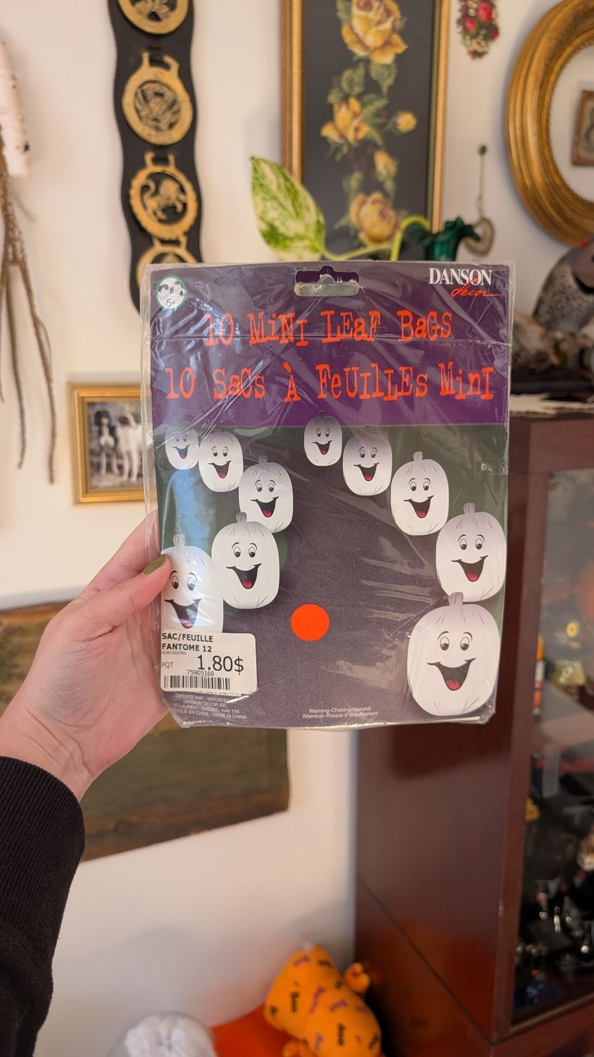 Leaves bag halloween ghost