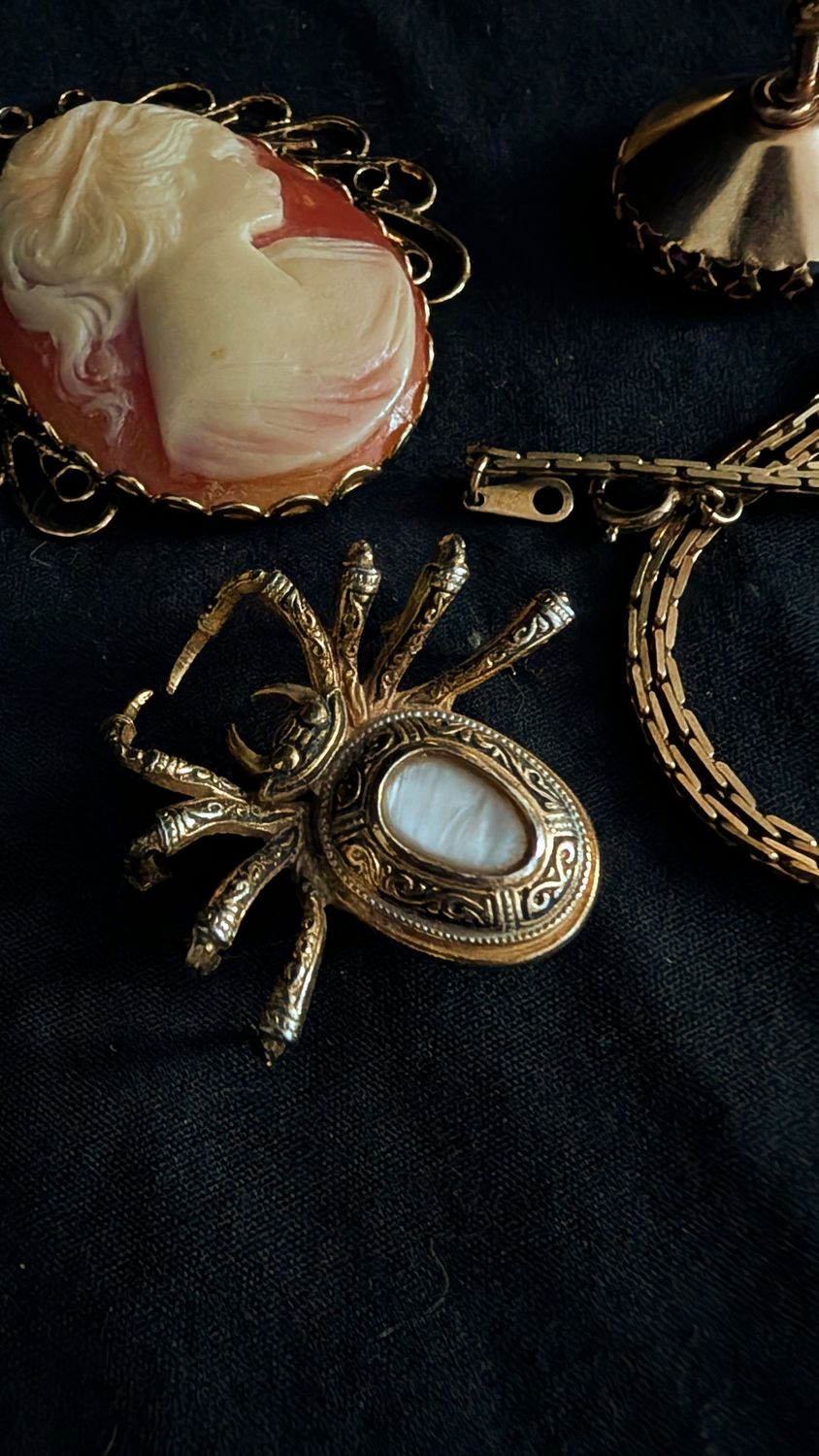 Spider with mother of pearl inlay brooch