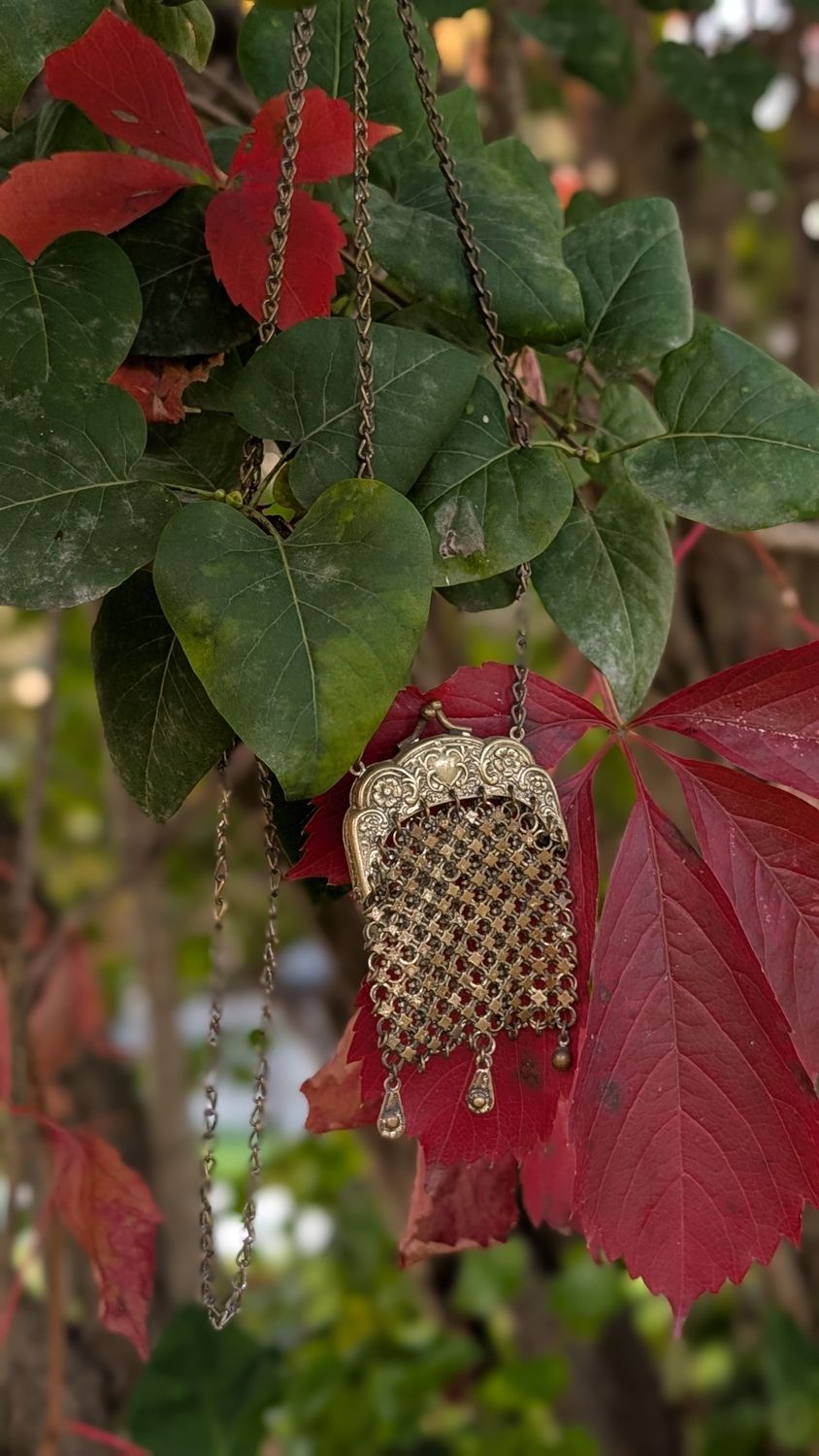 Art nouveau chainmail coin purse