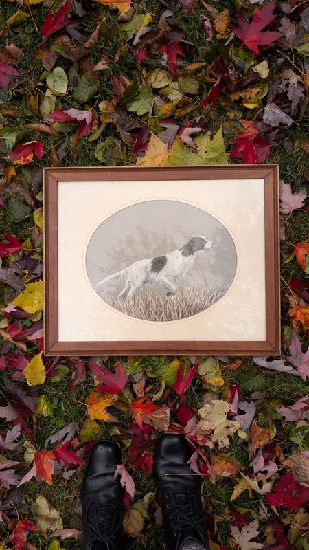 Spaniel water color by clyde folsom