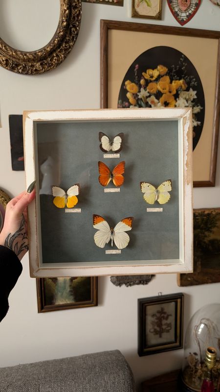 Burterflies framed with blue background